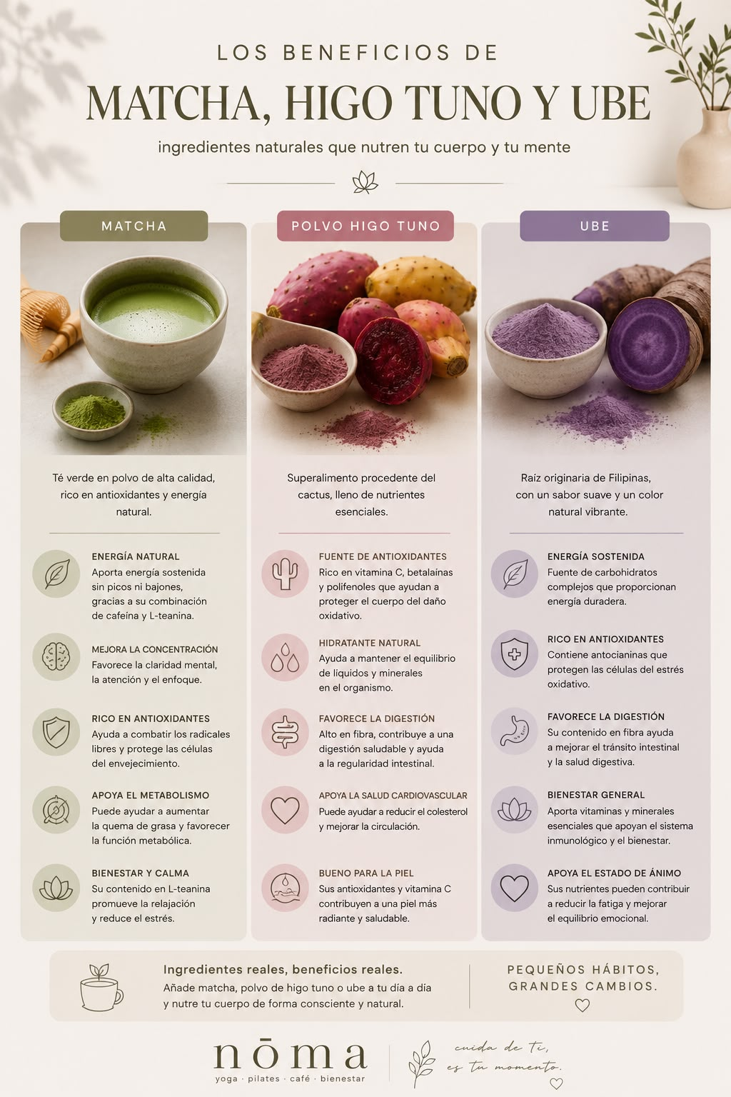 Beneficios de matcha, higo tuno y ube